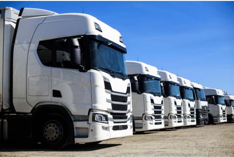 Conductores de camión para empresas de transporte en España.